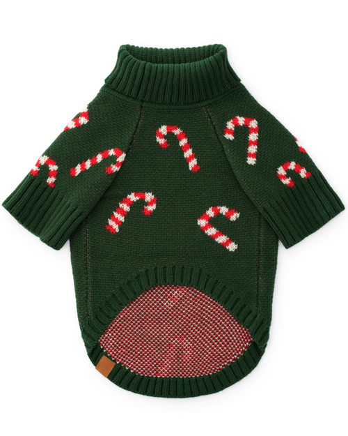 Candy Cutie Green Knit Dog Sweater