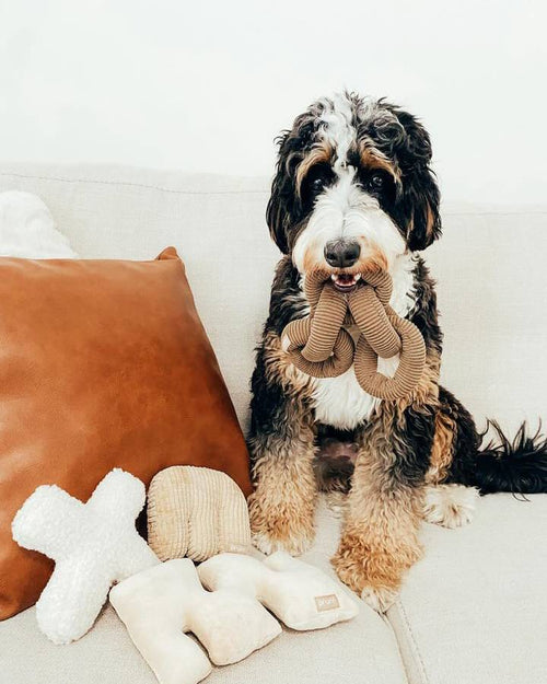 Problem Solver Champagne Plush Toy