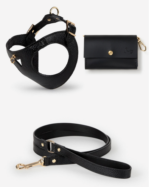 Luca black leather dog harness and leash kit, ergonomic design for small dogs, secure and comfortable for outdoor walks