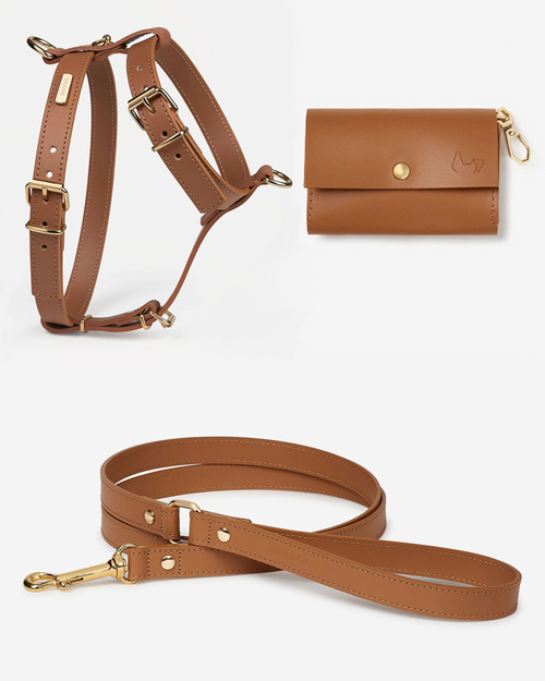 Palermo camel leather dog harness and leash kit, ergonomic design for medium dogs and comfortable outdoor walks