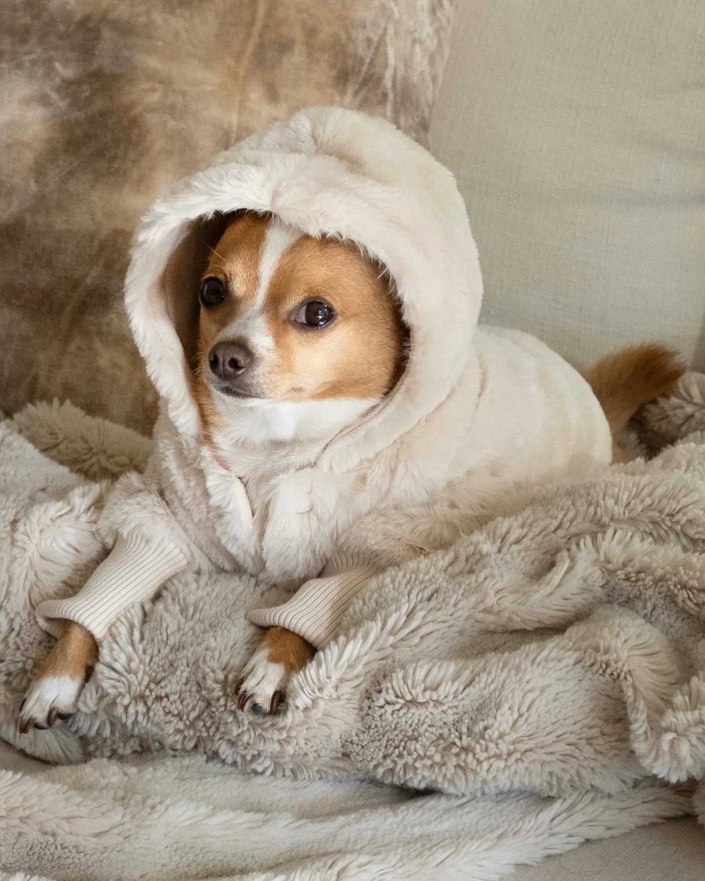 the total package: insanely touchable, wildly soft, hooded, and totally reversible. Thoughtful details and a chic design make this an instant classic, and when you realize the reverse side is just as cute, you'll never want to put your pup in anything else. 