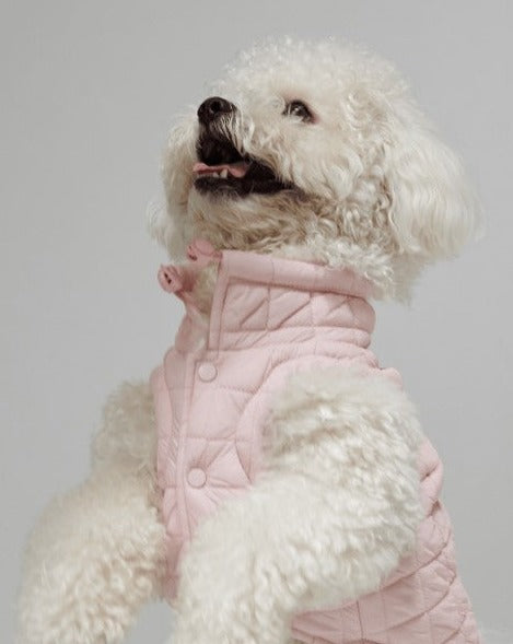 maxbone Easy Fit Jacket in Light Pink