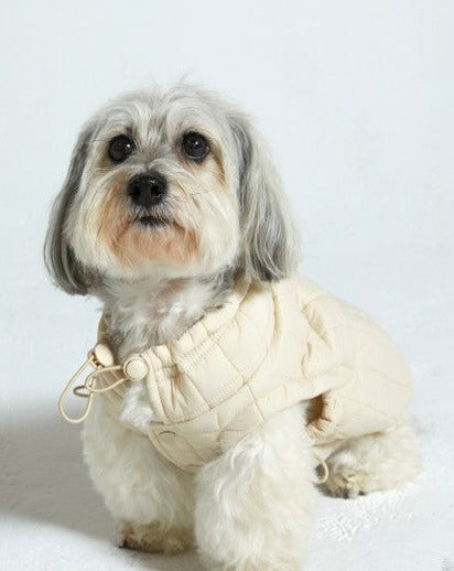 Maxbone Easy Fit Jacket in Sand. poodle puppy jacket