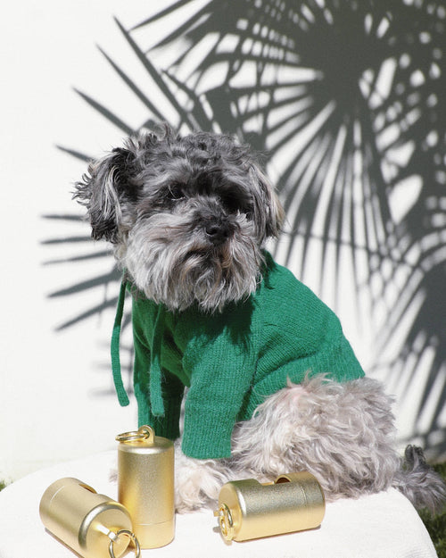 Milan Green Dog Hoodie cute pug clothes