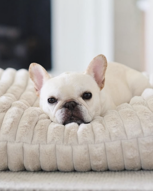 Coronado Ivory Faux Fur Dog Bed