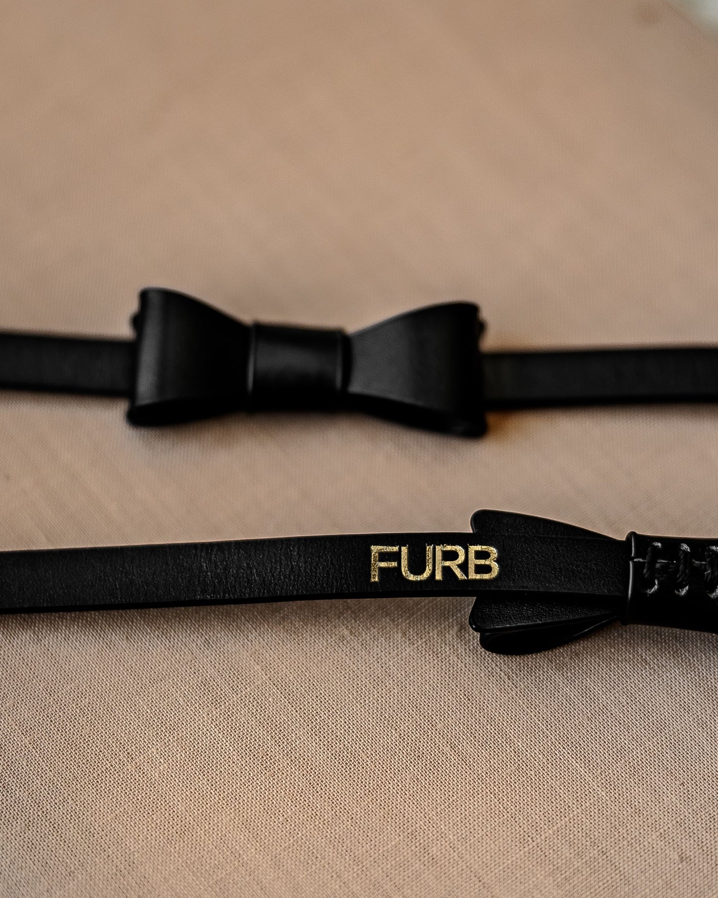 Guestlist Black Bow Tie Collar Product Image Detail
