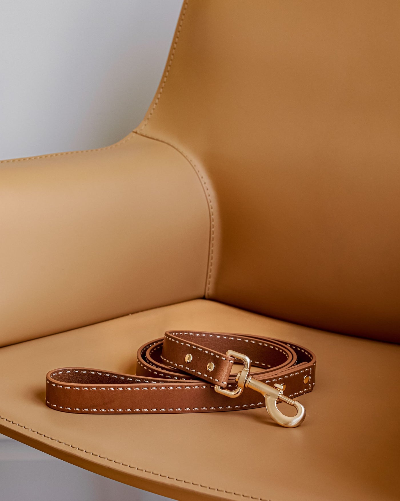 Take the Lead Tan Leather Leash Product Image Detail