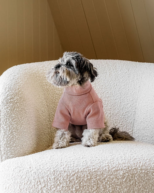 Halifax Dusty Rose Ribbed Turtleneck Product Image Detail. French bulldog pink shirt.