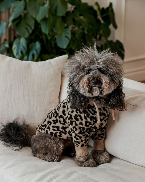 Milan Leopard Print Hoodie Product Image Detail frenchie apparel