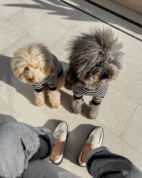 Like A Bandit Black Striped Sweater Product Image Detail. crochet dog sweater for chihuahua