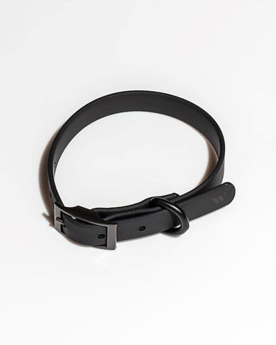 Wild One Black Collar Product Image