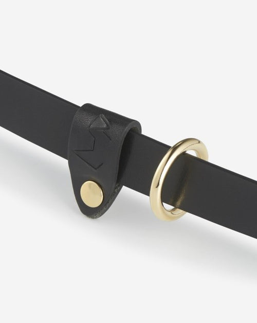 Multi-position Leather Leash in Black Product Image Detail