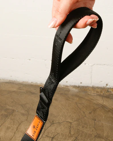 Le Luxe Leash in Neo Product Image Detail