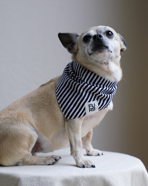 Captain Black + White Striped Bandana Product Image