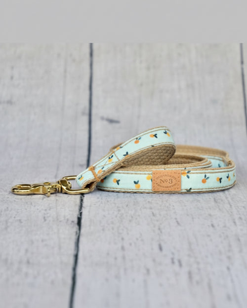 Sunny Stroll Clementine Dog Leash