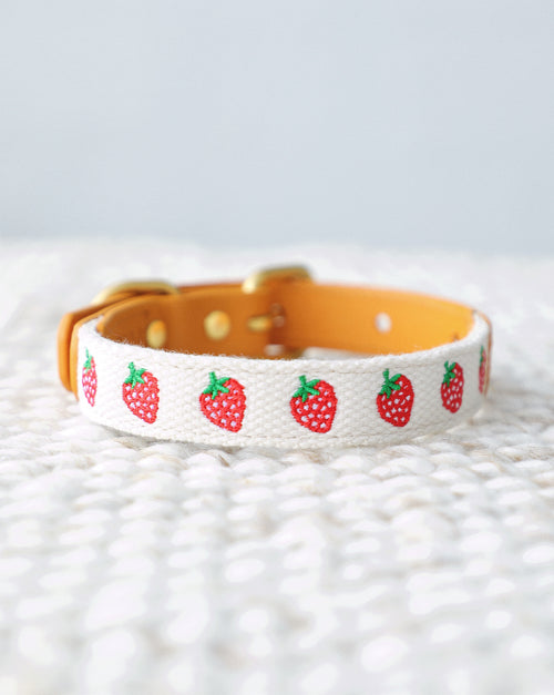 Petit Market Strawberry Embroidered Dog Collar