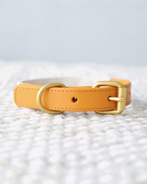 Petit Market Strawberry Embroidered Dog Collar