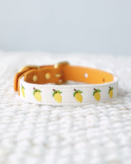 Petit Market Lemon Embroidered Dog Collar