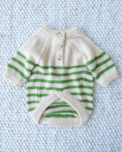 Little Sprout Green Striped Dog Sweater