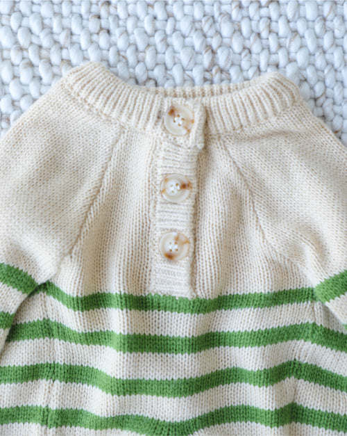 Little Sprout Green Striped Dog Sweater