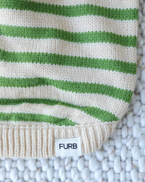 Little Sprout Green Striped Dog Sweater