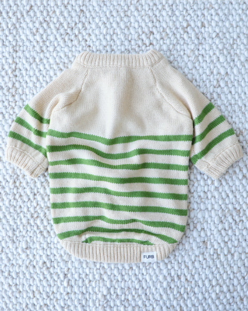 Little Sprout Green Striped Dog Sweater