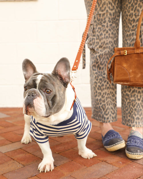 Playful Pooch Navy + Ivory Striped Dog T-Shirt