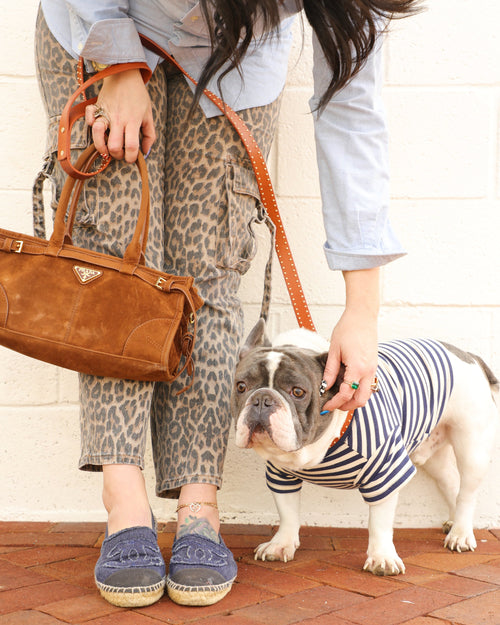 Playful Pooch Navy + Ivory Striped Dog T-Shirt