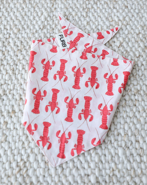 In A Pinch Lobster Dog Bandana