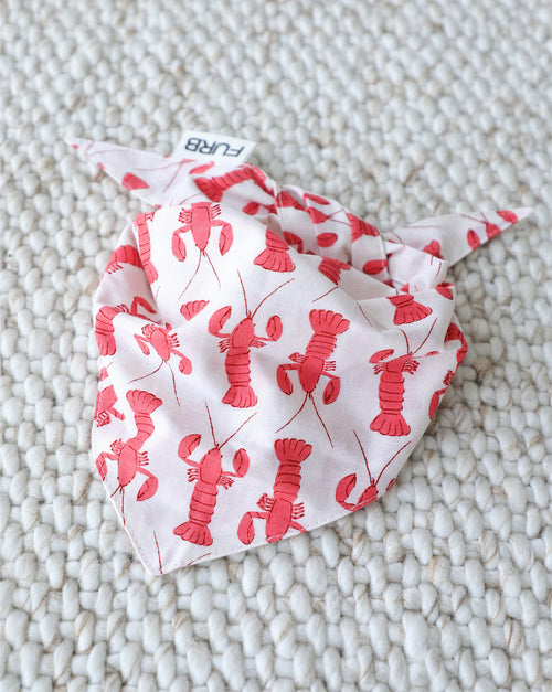 In A Pinch Lobster Dog Bandana