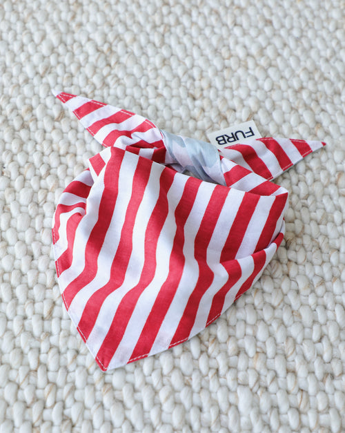 Yankee Poodle American Flag Reversible Bandana