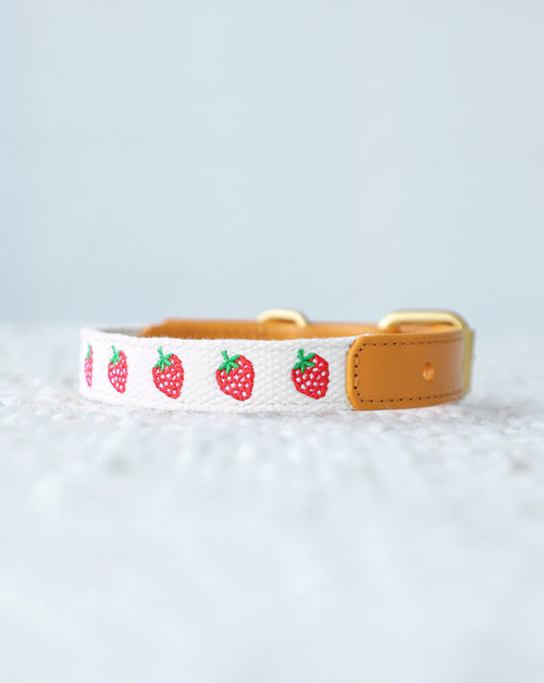 Petit Market Strawberry Embroidered Dog Collar
