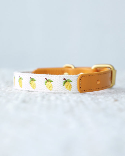 Petit Market Lemon Embroidered Dog Collar