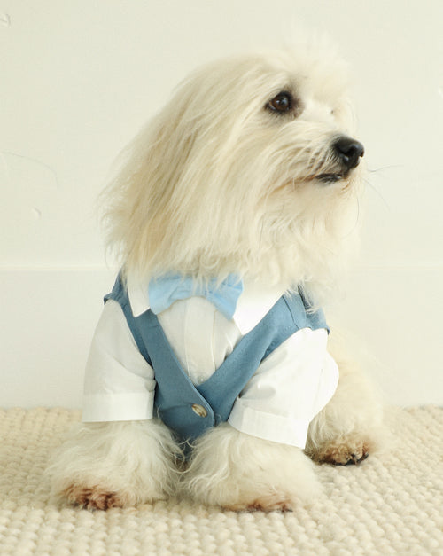 We Do Wedding Blue Three-fer Button Up