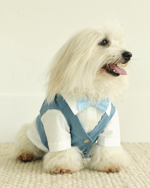 We Do Wedding Blue Three-fer Button Up