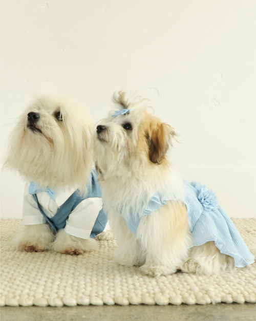 Love Story Ice Blue Pleated Chiffon Dress