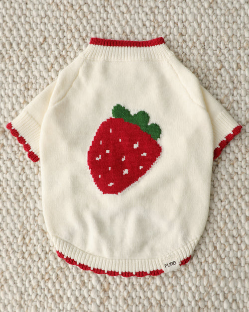 Berry Darling Embroidered Strawberry Dog Sweater