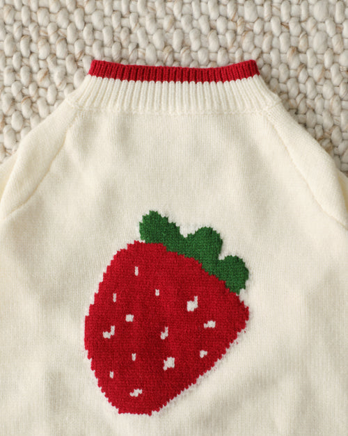 Berry Darling Embroidered Strawberry Dog Sweater