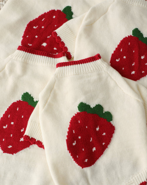 Berry Darling Embroidered Strawberry Dog Sweater