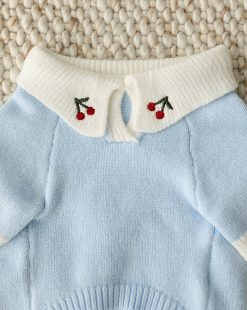 Cherry On Top Light Blue Polo Dog Sweater