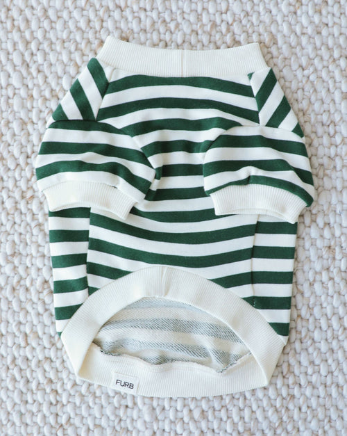 Cooper Green + Ivory Striped Dog Sweatshirt