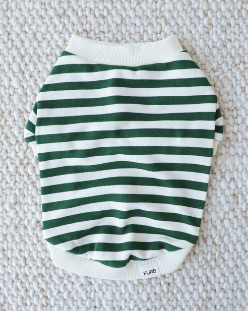 Cooper Green + Ivory Striped Dog Sweatshirt