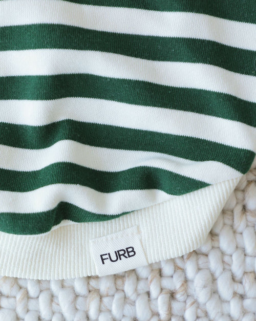 Cooper Green + Ivory Striped Dog Sweatshirt