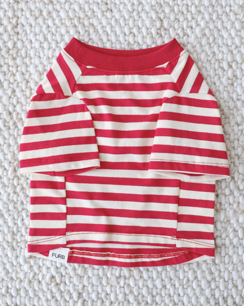 Casual Cutie Red + White Relaxed Dog T-Shirt