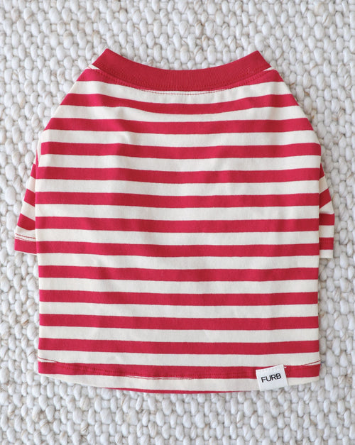 Casual Cutie Red + White Relaxed Dog T-Shirt