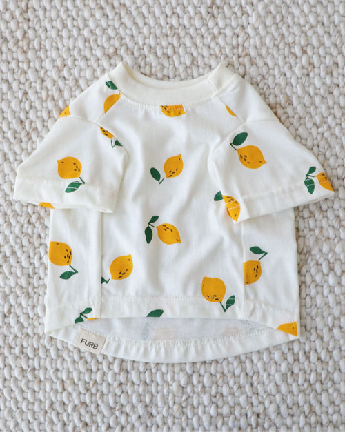 relaxed fit dog tee with citrus print, lightweight apparel for fun everyday outfits