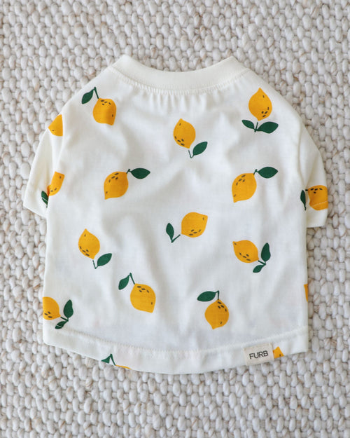 lemon print dog t shirt with soft cotton fabric, playful and stylish pet clothing