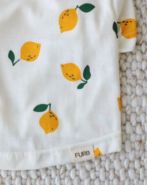 casual dog clothing with citrus print design, comfortable tee for everyday wear