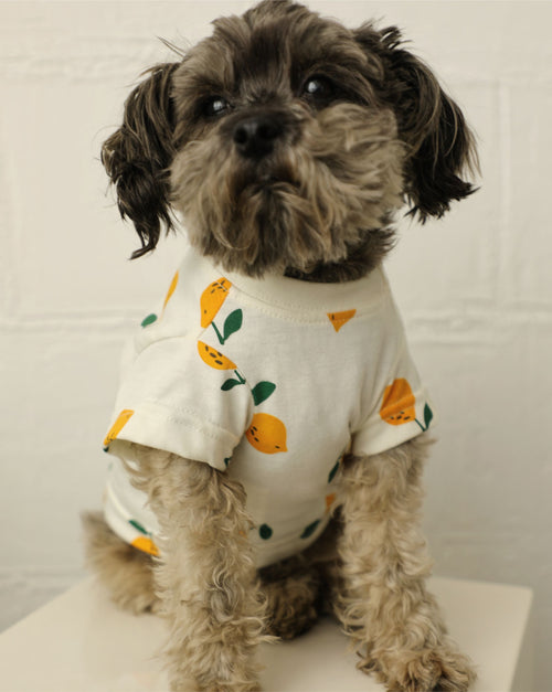 Casual Cutie Lemon Relaxed Dog T-Shirt