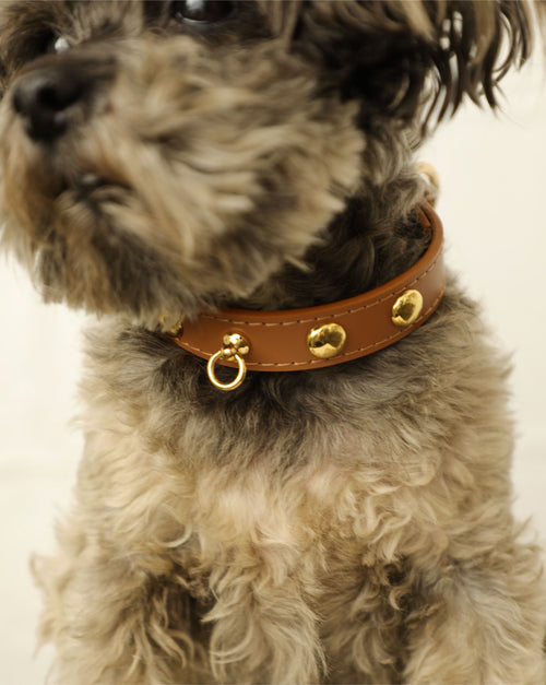Nara Studded Camel Leather Collar